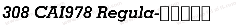 308 CAI978 Regula字体转换